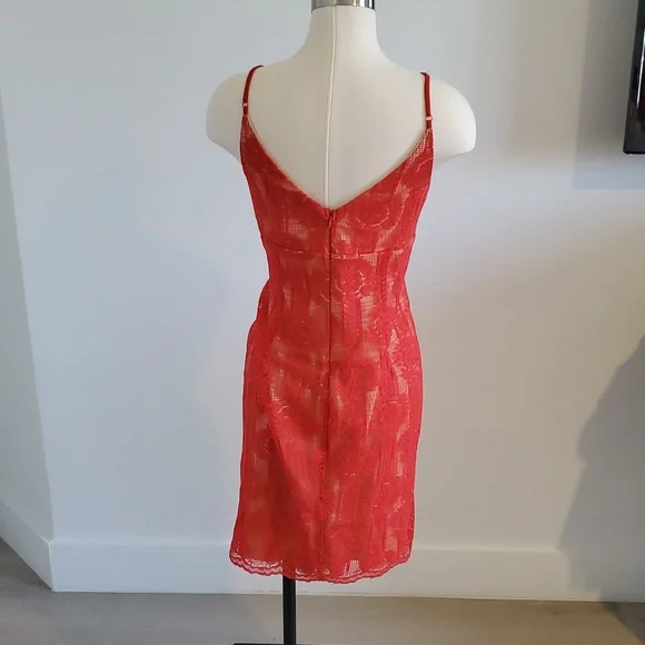 Lulu's women’s Scarlet Lace Overlay Dress fully lined in nude Size XL NWOT - Picture 6 of 11